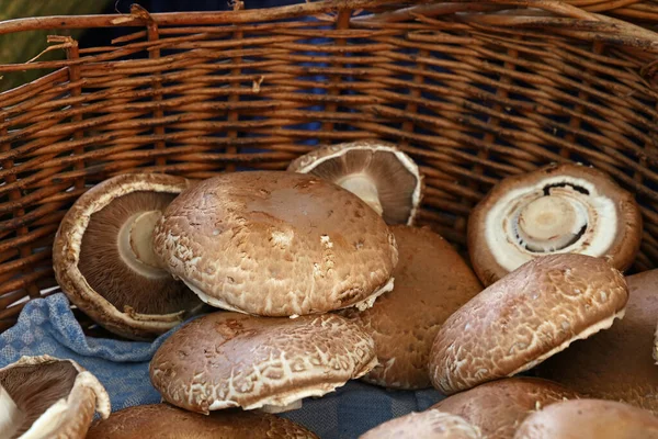 Close Mature Brown Portobello Edible Mushrooms Agaricus Bisporus Wicker Wooden — Stock Photo, Image