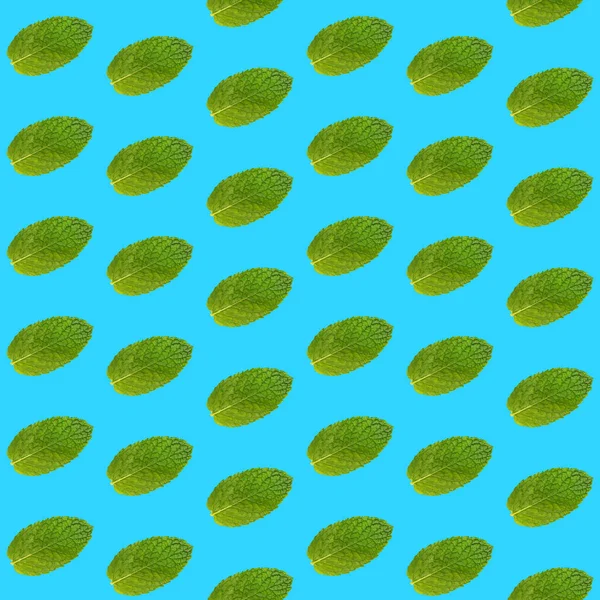 Seamless pattern of fresh green mint leaves on vivid blue background