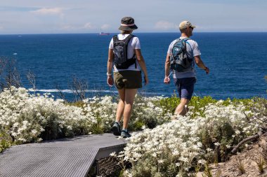 Sidney Avustralya 'daki Kamay Ulusal Parkı' nda yürüyüş yapan çalıyürüyenler.