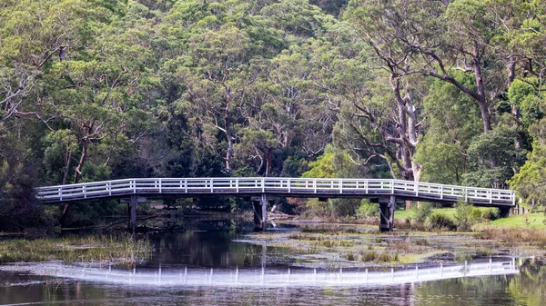 Puente Madera Sobre Río Hacking Parque Nacional Real Nueva Gales — Foto de Stock