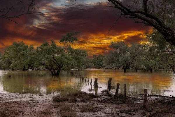 Fiume Darling Allagato Nel Nuovo Galles Del Sud Nord Occidentale — Foto Stock