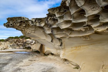 Sandstone Weathering along cliffs of Malabar National Park, Sydney Australia