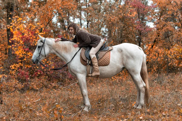 在公园里和马在一起的年轻女人 — 图库照片