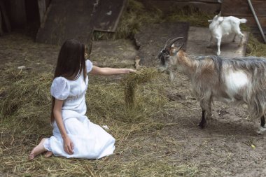 Nehir kıyısında bir atla yürü.