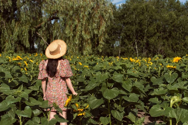 ブルネットの女の子と夏の晴れた日 — ストック写真