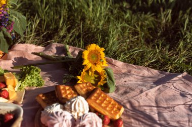 Parkta piknikte farklı yemekler.