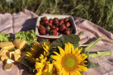 Parkta piknikte farklı yemekler.