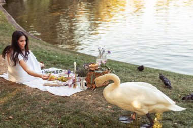 Parkta piknik yapan bir kız.