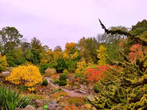 Nature City Park Autumn — Stock Photo, Image