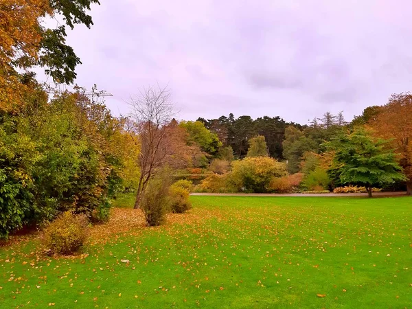 Природа Городском Парке Осенью — стоковое фото