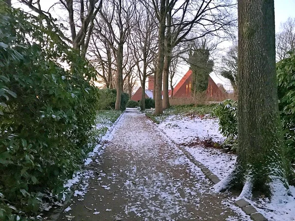 Hiver Dans Parc Ville Herning — Photo