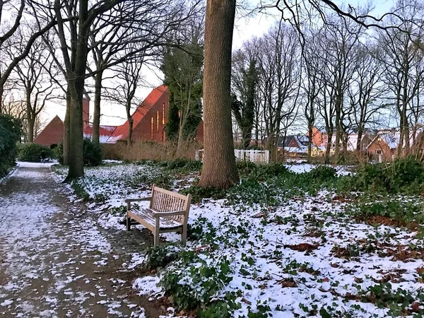 Winter Het Stadspark Herning — Stockfoto