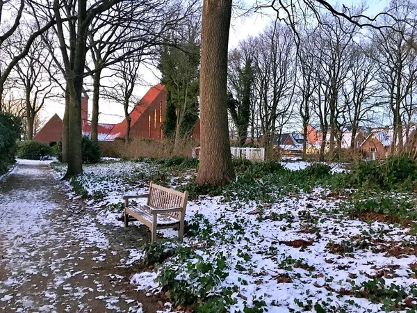 Hiver Dans Parc Ville Herning — Photo