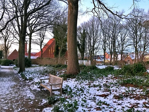 Hiver Dans Parc Ville Herning — Photo