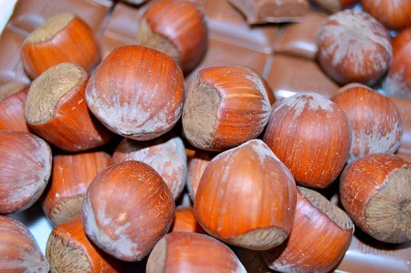 Vista Dall Alto Della Tavoletta Cioccolato Con Nocciole Sfondo Cioccolato — Foto Stock