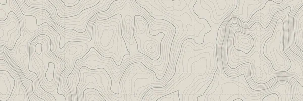 Stilisierte Topografische Konturkarte Geographische Linie Bergrelief Abstrakte Linien Oder Welliger — Stockvektor