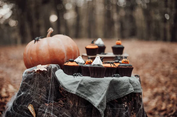 Koncepcja Jesień Tradycyjny Wakacje Halloween — Zdjęcie stockowe