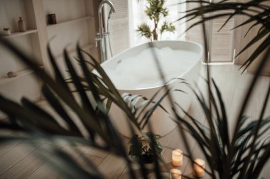 İskandinav tarzı tuvaletin içi.