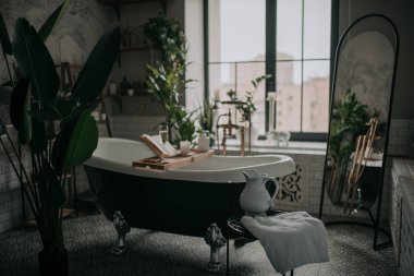 lüks banyo iç