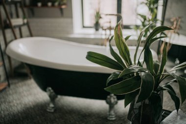 lüks banyo iç