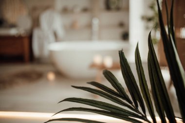 İskandinav tarzı tuvaletin içi.