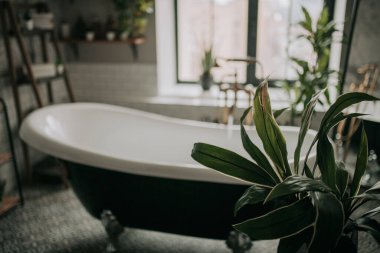 lüks banyo iç