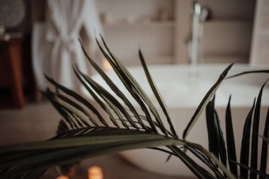 İskandinav tarzı tuvaletin içi.