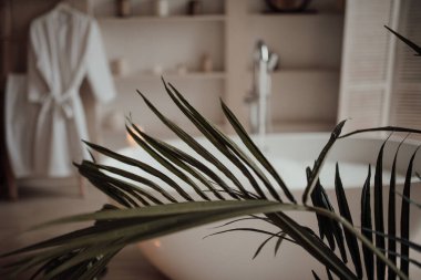 İskandinav tarzı tuvaletin içi.