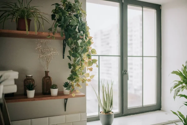 Intérieur Une Salle Bain Luxe — Photo