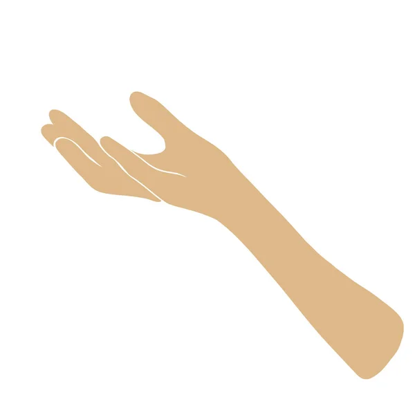 Kadın el simgesi asgari düzeyde. Zarif bir kadın kol hareketi. Vektör logosu düz stil olarak çizildi. — Stok Vektör