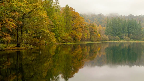 İngiliz Lake District Ulusal Parkı 'ndaki Yew Tree Tarn' da sonbahar yansımaları. Ambleside 'dan Coniston' a kadar uzanan en kolay ulaşılabilen tarlalardan biri tarnların yanında küçük bir otopark var.. 