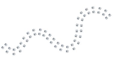 Harita için hayvan ayak izi yön noktası. Yörünge grafik şablonu için beyaz arkaplanda vektör stoku çizimi izole edildi. EPS10