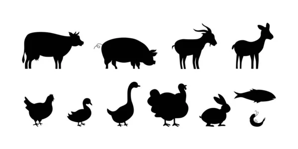 Set Simboli Carne Design Dell Etichetta Imballaggio Del Prodotto Macelleria — Vettoriale Stock