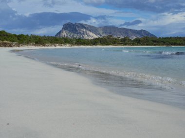 Sardinya 'daki Cala Brandinchi' nin güzel denizinin bir resmi.