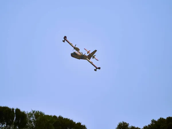 Een Schilderstuk Van Brandweerlieden Lucht — Stockfoto