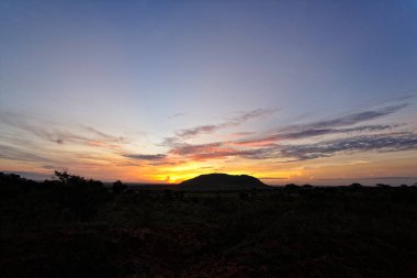 Afrika 'nın vahşi doğasının güzel bir resmi.