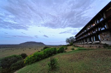 Afrika 'nın vahşi doğasının güzel bir resmi.