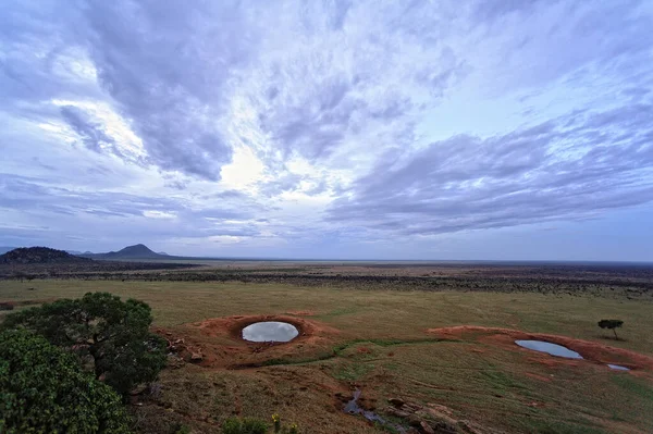 Uma Bela Imagem Uma Paisagem Selvagem Africana — Fotografia de Stock