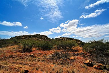 Afrika 'nın vahşi doğasının güzel bir resmi.