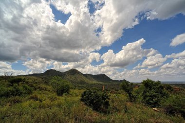 Afrika 'nın vahşi doğasının güzel bir resmi.