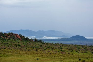 Afrika 'nın vahşi doğasının güzel bir resmi.