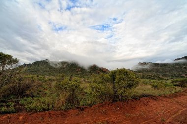 Afrika 'nın vahşi doğasının güzel bir resmi.