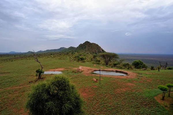 Una Bella Immagine Paesaggio Selvaggio Africano — Foto Stock