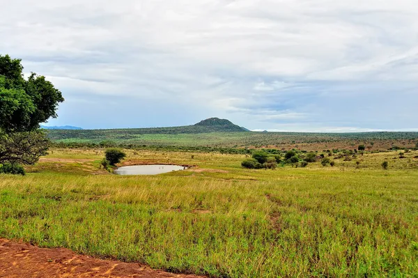 Una Bella Immagine Paesaggio Selvaggio Africano — Foto Stock