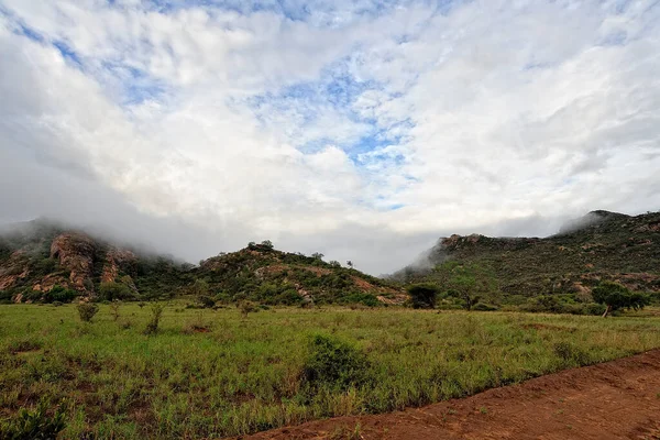 一幅美丽的非洲野景画 — 图库照片