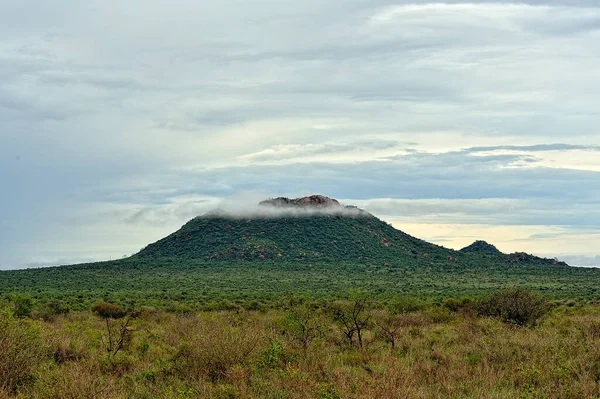 Afrika 'nın vahşi doğasının güzel bir resmi.