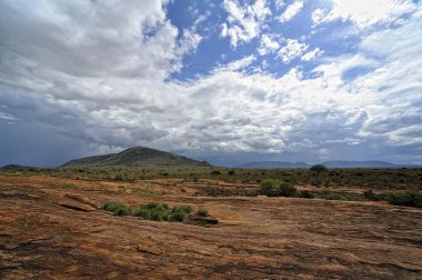 Afrika 'nın vahşi doğasının güzel bir resmi.