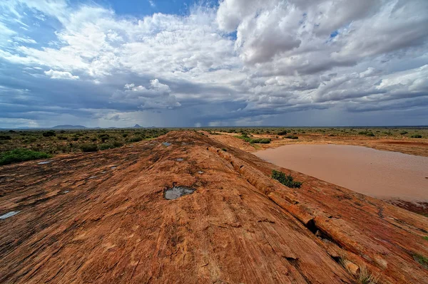 Uma Bela Imagem Uma Paisagem Selvagem Africana — Fotografia de Stock