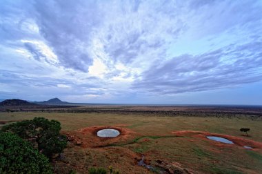 Afrika 'nın vahşi doğasının güzel bir resmi.