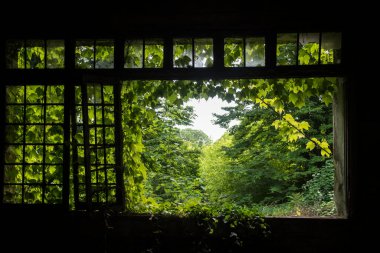 Terk edilmiş bir tımarhanedeki korkunç bir yerin resmi.